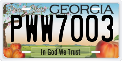 GA license plate PWW7003