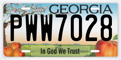 GA license plate PWW7028