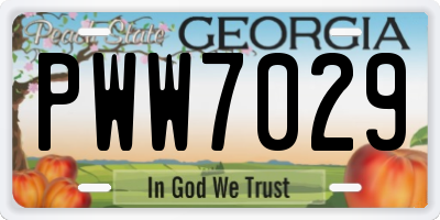 GA license plate PWW7029