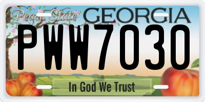 GA license plate PWW7030