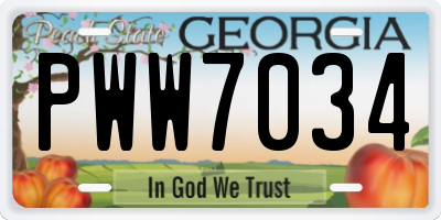 GA license plate PWW7034