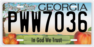 GA license plate PWW7036