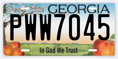 GA license plate PWW7045