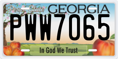 GA license plate PWW7065