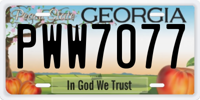 GA license plate PWW7077