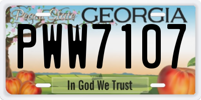 GA license plate PWW7107