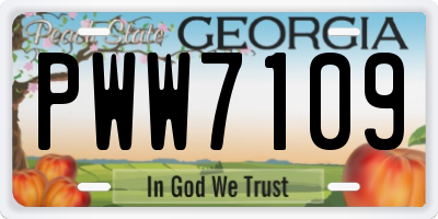 GA license plate PWW7109