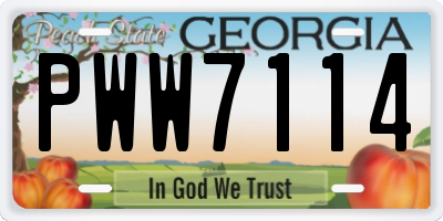 GA license plate PWW7114
