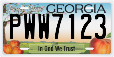 GA license plate PWW7123