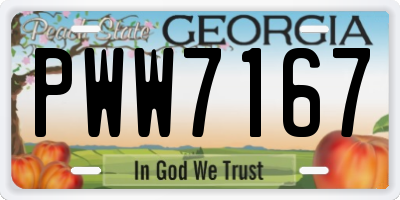 GA license plate PWW7167