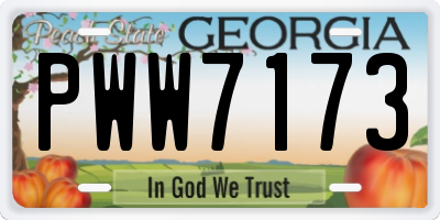 GA license plate PWW7173