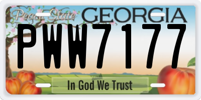 GA license plate PWW7177