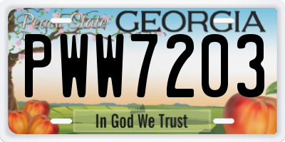GA license plate PWW7203