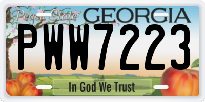 GA license plate PWW7223