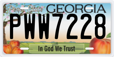 GA license plate PWW7228