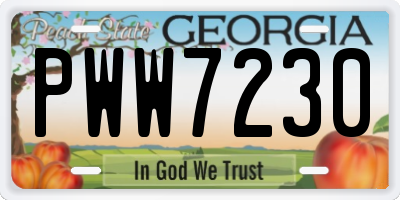 GA license plate PWW7230