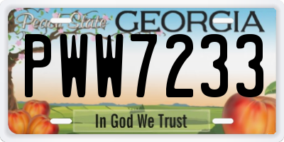 GA license plate PWW7233