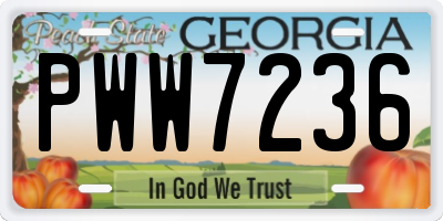 GA license plate PWW7236