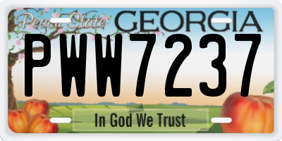 GA license plate PWW7237