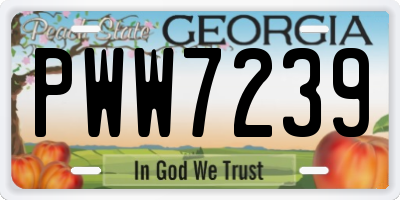 GA license plate PWW7239