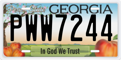 GA license plate PWW7244