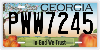 GA license plate PWW7245