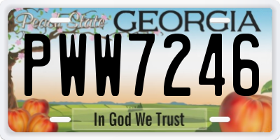 GA license plate PWW7246
