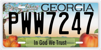 GA license plate PWW7247