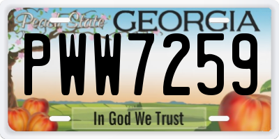GA license plate PWW7259