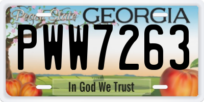 GA license plate PWW7263