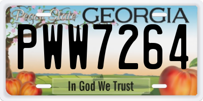 GA license plate PWW7264