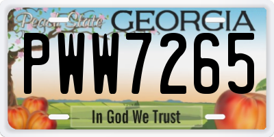 GA license plate PWW7265