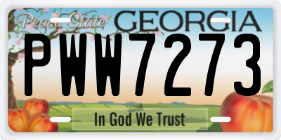 GA license plate PWW7273