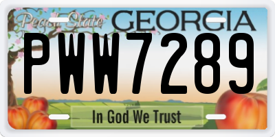 GA license plate PWW7289