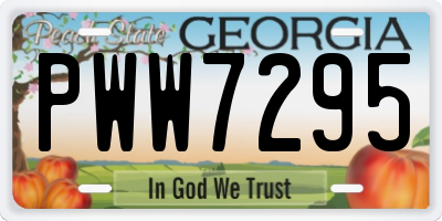 GA license plate PWW7295