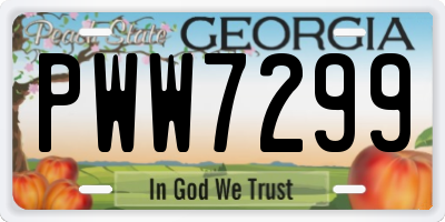 GA license plate PWW7299