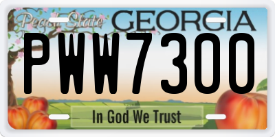 GA license plate PWW7300