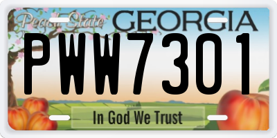 GA license plate PWW7301