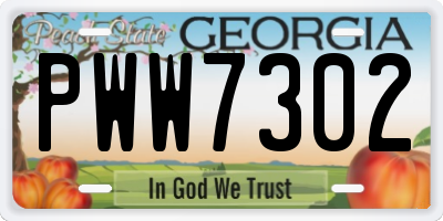 GA license plate PWW7302