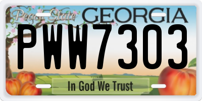 GA license plate PWW7303
