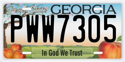 GA license plate PWW7305