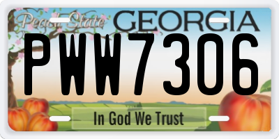 GA license plate PWW7306