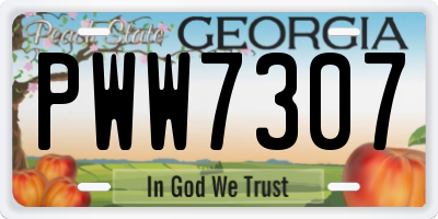 GA license plate PWW7307