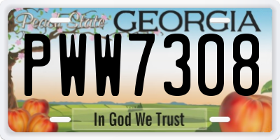 GA license plate PWW7308
