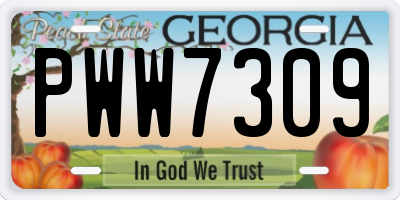 GA license plate PWW7309