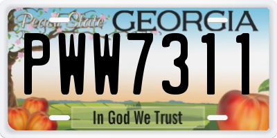 GA license plate PWW7311