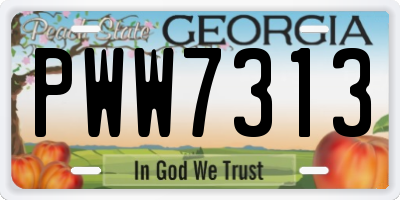 GA license plate PWW7313