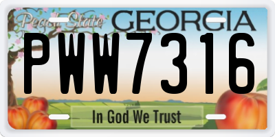 GA license plate PWW7316