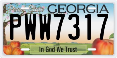 GA license plate PWW7317