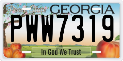 GA license plate PWW7319